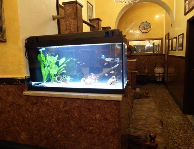 acquario hotel touring messina